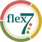 flex7 Limited logo