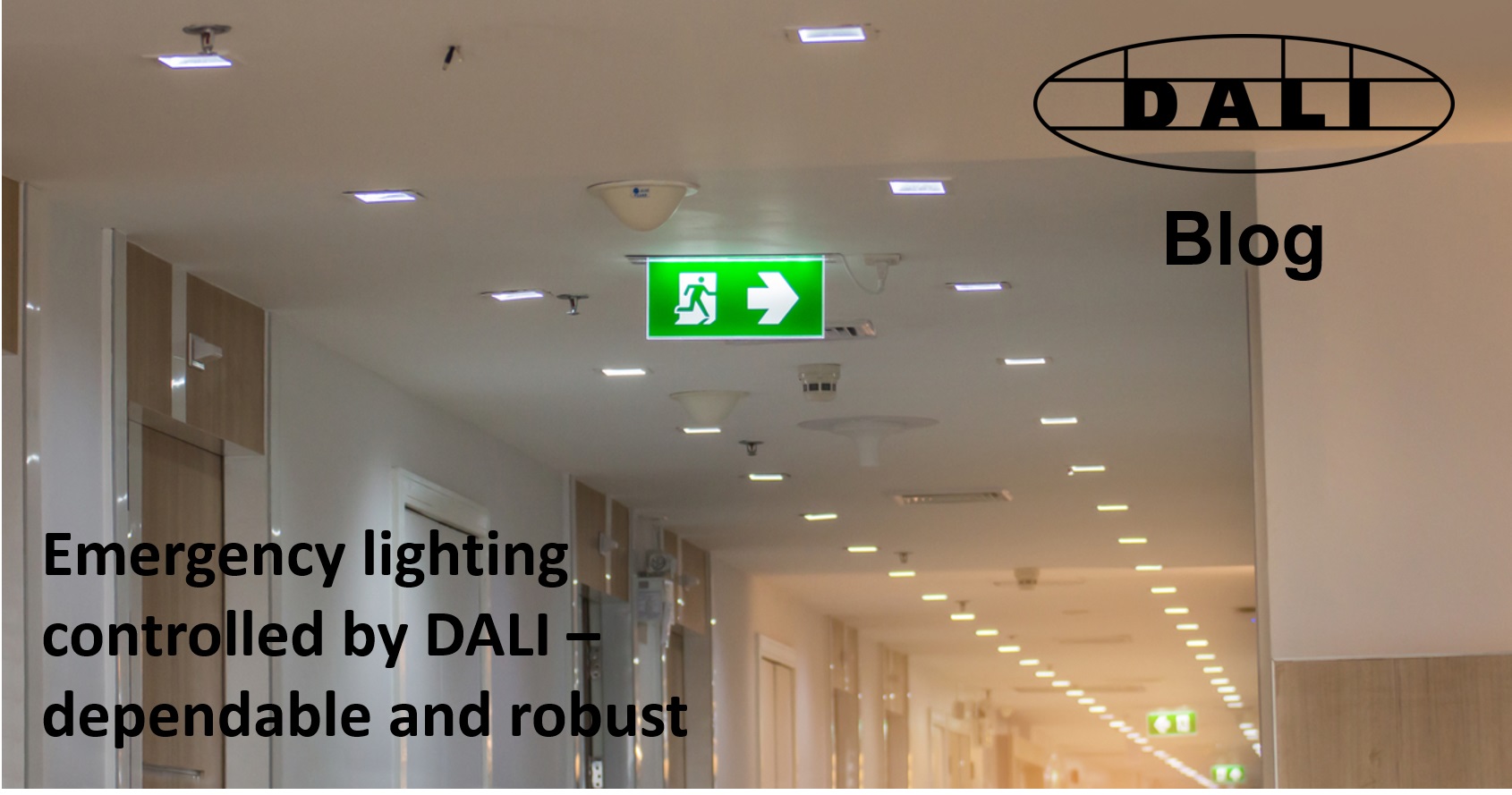 Emergency lighting controlled by DALI that's dependable and robust